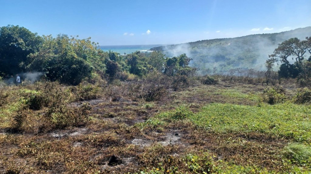  Bomberos atienden fuegos forestales en Ponce, Guayama, Peñuelas, Juana Díaz y Humacao 