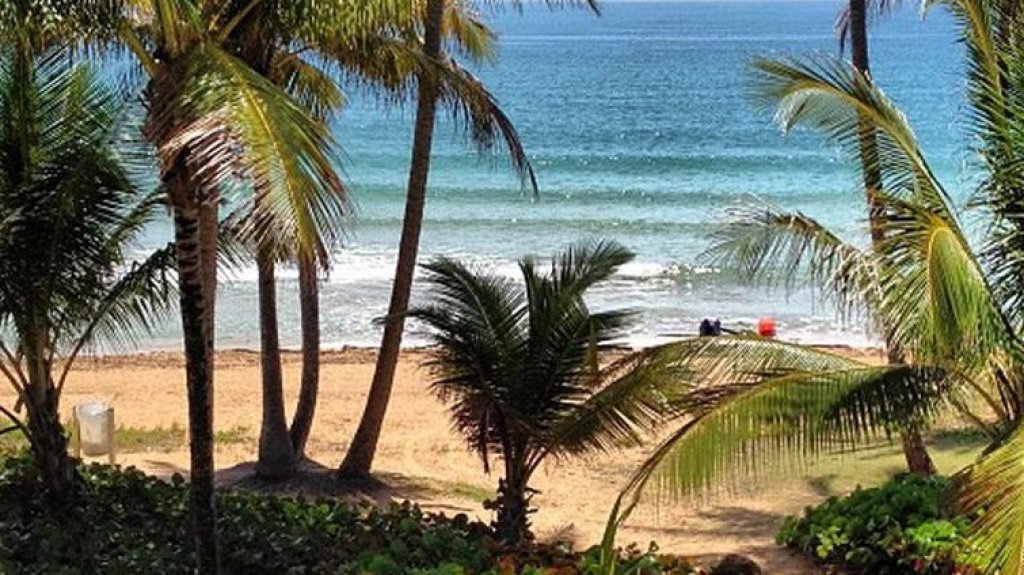  Hallan cuerpo sin vida de un hombre en playa de Palmas del Mar en Humacao 