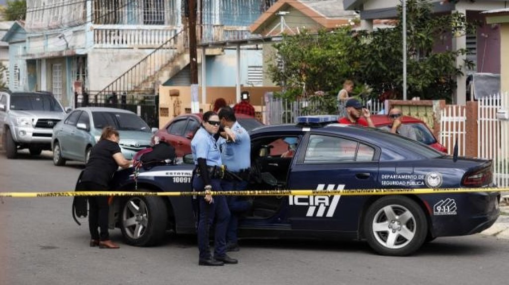  Hombre en Fajardo dispara contra su perro Pitbull, luego que este atacara a su hijo de 3 años 