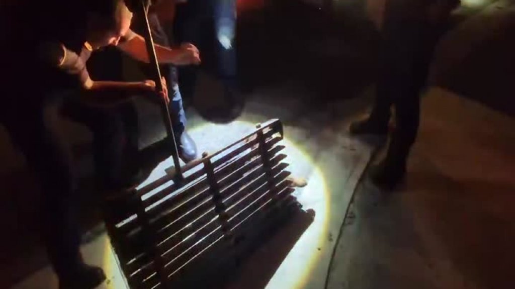  Video del momento en que bomberos de Ponce rescatan un perro atrapado en una alcantarilla 