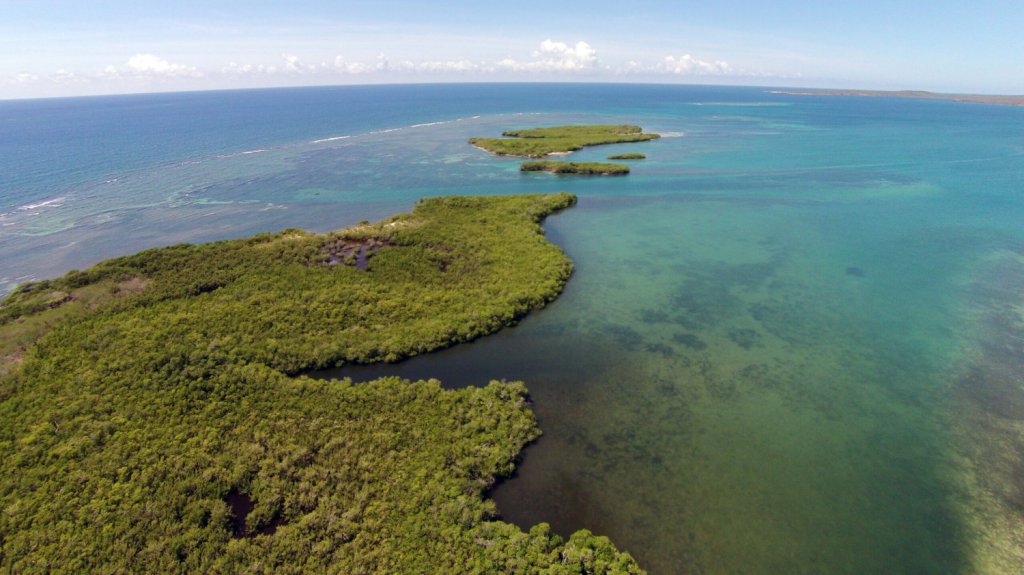  Para la Naturaleza alerta sobre supuesto desarrollo en terrenos de la Reserva Natural Punta Ballena en Guánica 