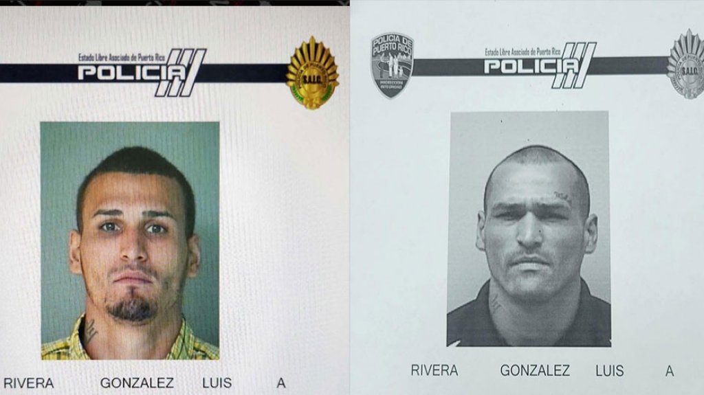  Arrestan en Utuado a hombre buscado por ley 54 