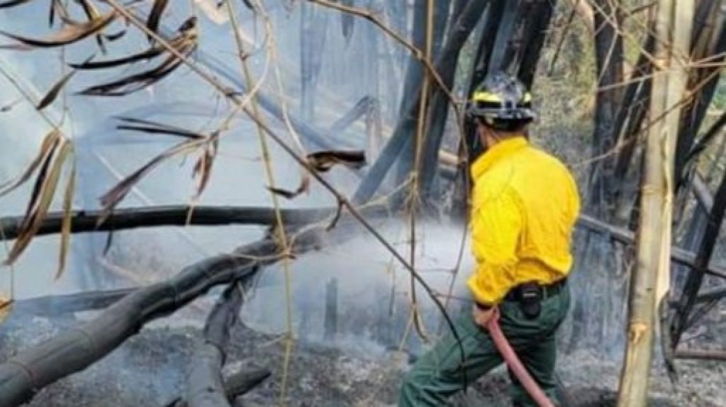  Bomberos advierte a la población sobre temporada de fuegos forestales, que se extiende hasta agosto 