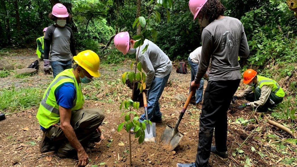  El Yunque celebrará el Día Internacional de los Bosques con evento gratuito en El Portal 