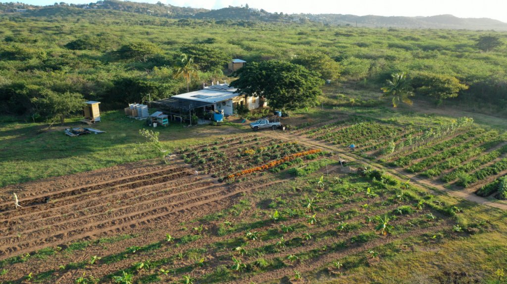  Gestan primer proyecto de finca comunitaria en el país que estará disponible para agricultores sin terrenos 