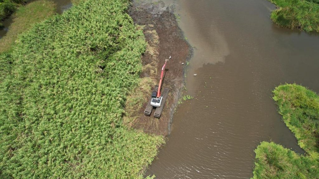  Municipio de Naguabo realiza trabajos de limpieza en los caños del río Blanco para reducir el posible impacto de inundaciones 