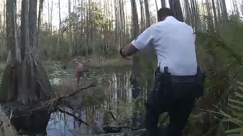  Video: Helicóptero con cámara térmica ayuda a la policía a encontrar a niña en pantano de Florida 