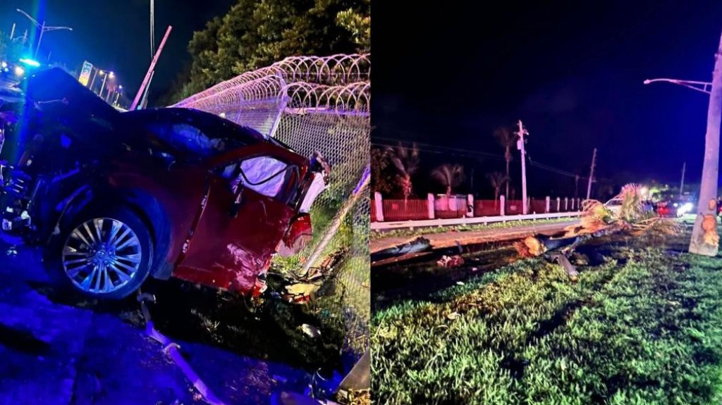  Vehículo se parte por la mitad al chocar con palmas frente a playa de Isla Verde 