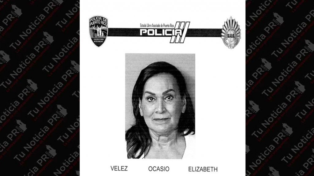  Arrestan mujer residente en Estados Unidos por robarse una verja en Cabo Rojo 