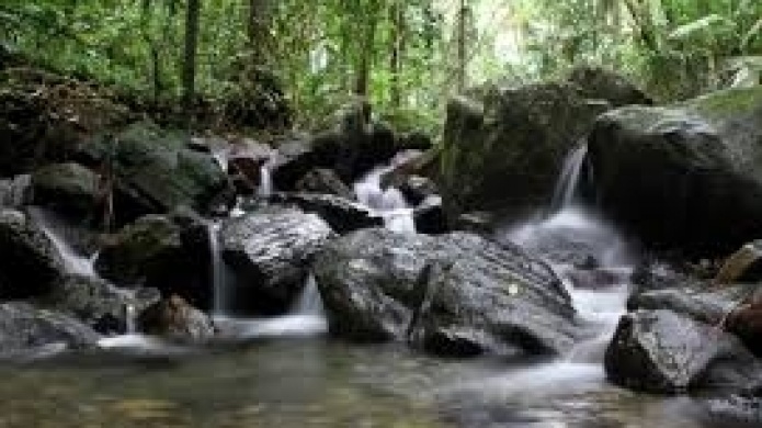 Rescatan a nueve jóvenes atrapados por crecida de río Blanco