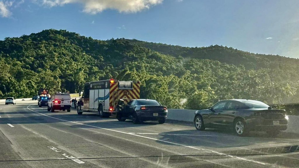  Mujer se quita la vida al lanzarse desde un puente en el Expreso 52 entre Caguas y Cayey 