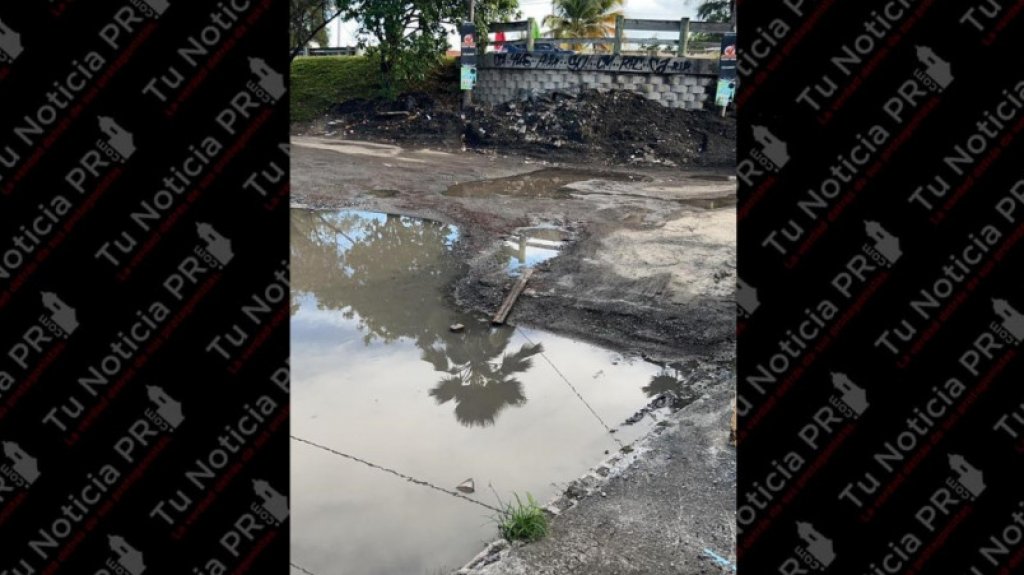  Comerciantes de Piñones reclaman acción para que arreglen carretera 