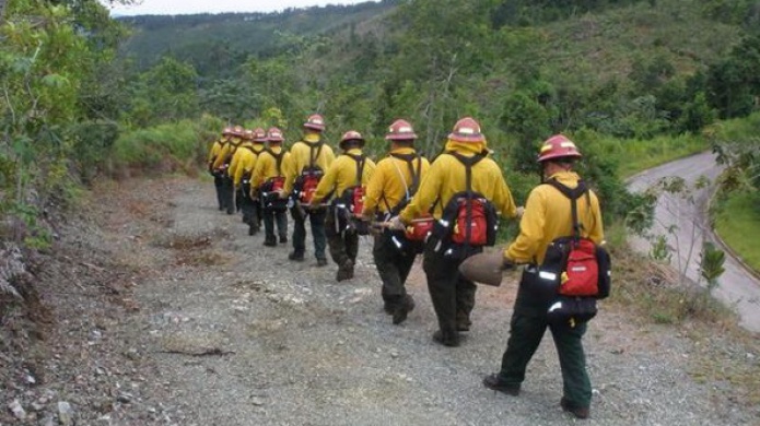 A punto de salir a Estados Unidos bomberos forestales de Puerto Rico
