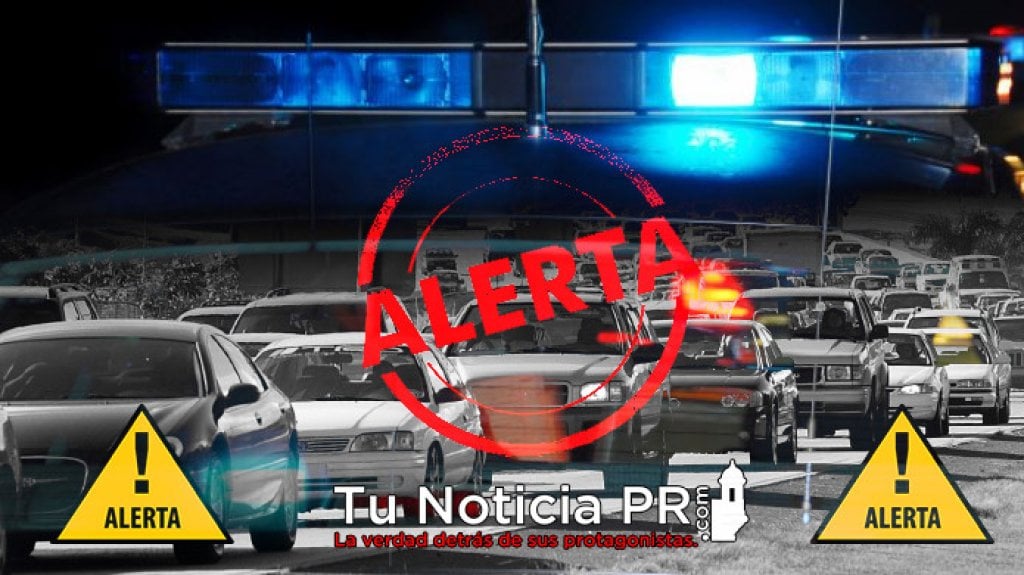  Carriles cerrados en PR-53 en Naguabo por accidente con ganado 