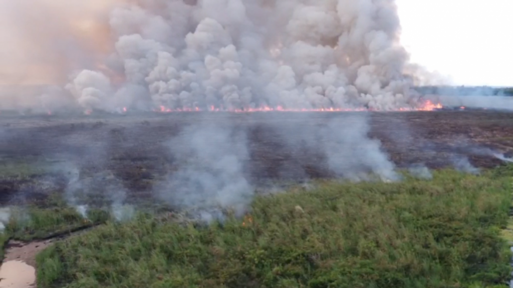  Video: Ahora se reporta incendio forestal en Toa Baja 