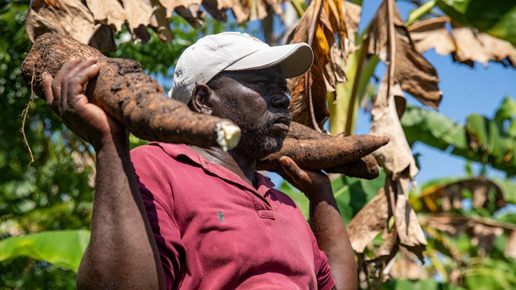  Cambio climático y la tenacidad de los agricultores haitianos por mantenerse a flote tras las catástrofes naturales 