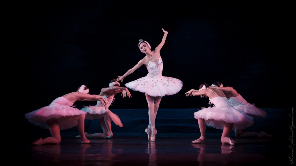  “Mientras la gente esté muriendo, no podemos bailar El Lago de los Cisnes”, dice director Ballet Nacional de Ucrania al anunciar cambio por obra GISELLE 