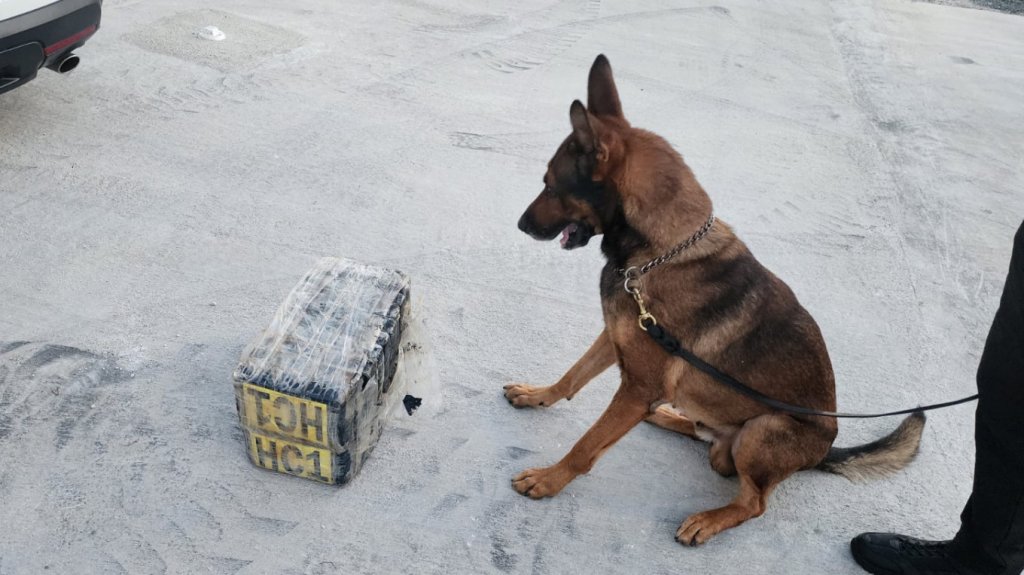  Hallazgo de 20 Kilos de Cocaína en Playa de Ceiba 