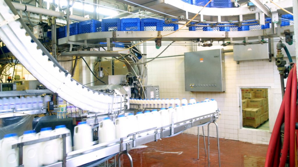  Sector de leche lanza certificación para mejorar producción 