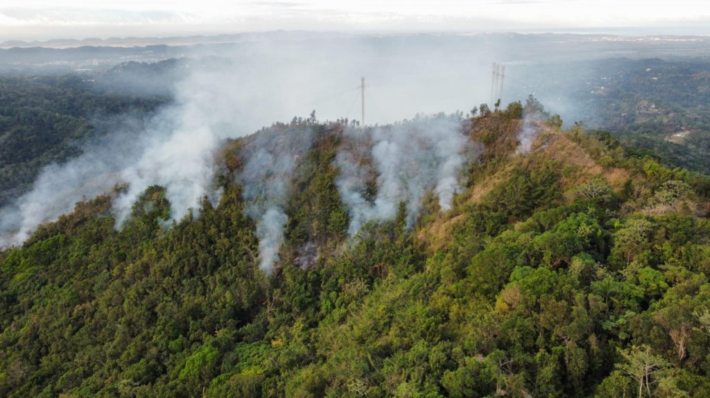  Autoridades intentan extinguir incendio forestal en Maricao 
