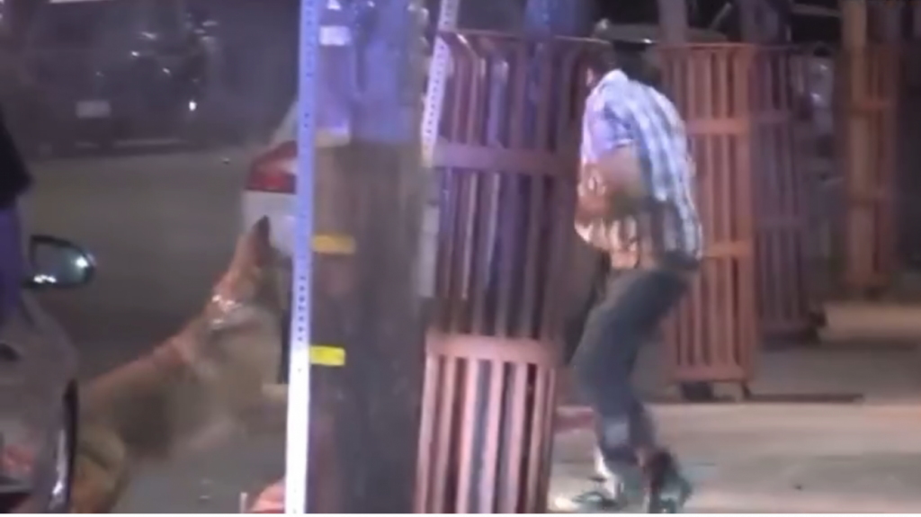  Video: momento en que un perro de la policía desarma a hombre armado de un machete 