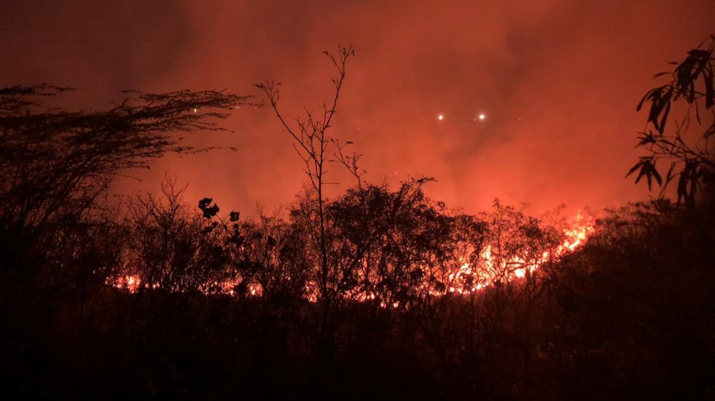  Bomberos atienden incendios forestales en el sur 