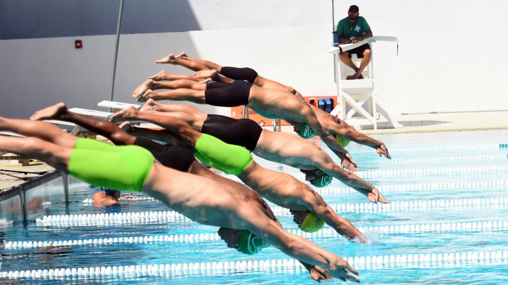  Tigres y Delfinas nuevos monarcas de la piscina corta 