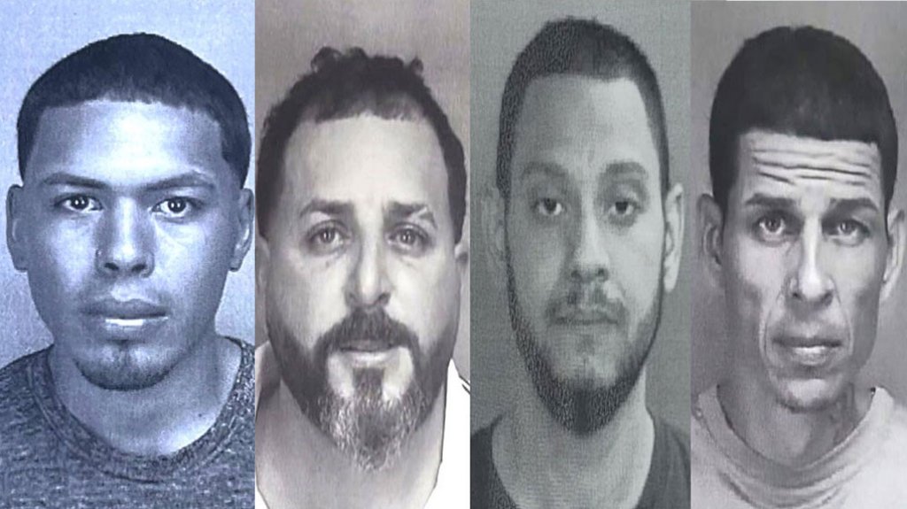  4 arrestados por violencia doméstica en los pueblos de Morovis, Vega Alta y Bayamón 