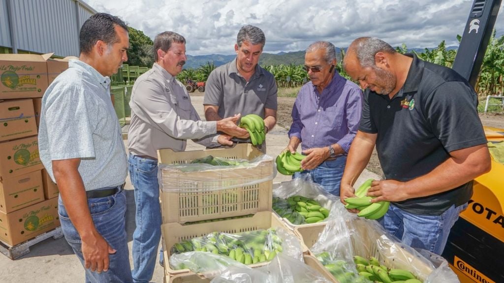 Puerto Rico Farm Credit informa sobre programas de alivio para