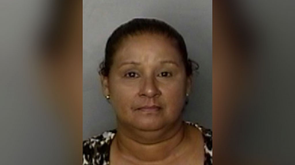  Mujer acusada de escalar un School Supply en Guayama, donde robó dinero en efectivo y causó daños a las cámaras de seguridad 