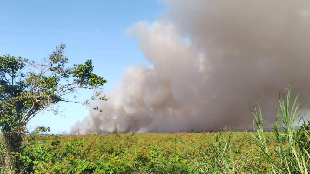  VIDEO: Se registra fuego forestal en Toa Baja 